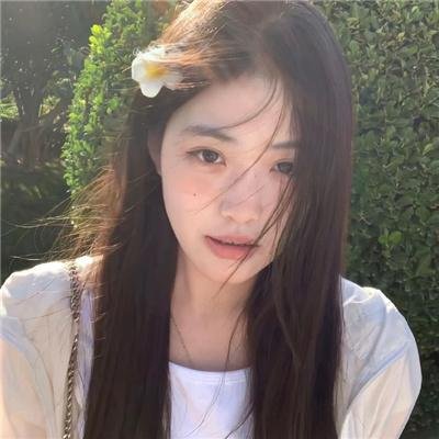 极地情天